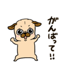 With Pugs（個別スタンプ：17）