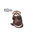 Adorable Sea Otter (JP Ver.)（個別スタンプ：9）