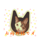 ラオウちゃんのスタンプ♡（個別スタンプ：5）