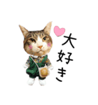 小太郎ちゃんスタンプ猫（個別スタンプ：14）