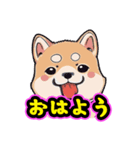 あほかわいい犬（しばいぬ）（個別スタンプ：1）