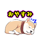 あほかわいい犬（しばいぬ）（個別スタンプ：2）