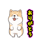 あほかわいい犬（しばいぬ）（個別スタンプ：3）