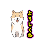 あほかわいい犬（しばいぬ）（個別スタンプ：7）