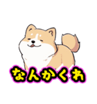 あほかわいい犬（しばいぬ）（個別スタンプ：8）