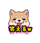 あほかわいい犬（しばいぬ）（個別スタンプ：10）