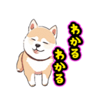 あほかわいい犬（しばいぬ）（個別スタンプ：12）