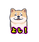 あほかわいい犬（しばいぬ）（個別スタンプ：15）