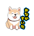 あほかわいい犬（しばいぬ）（個別スタンプ：16）