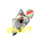 もちまりむぎスタンプ 8（個別スタンプ：5）