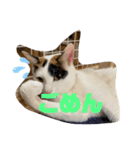 もちまりむぎスタンプ 8（個別スタンプ：12）