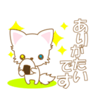 にゃんこ日和(ペルシャ猫のたま)-toYvu-（個別スタンプ：11）