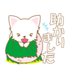 にゃんこ日和(ペルシャ猫のたま)-toYvu-（個別スタンプ：13）