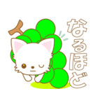 にゃんこ日和(ペルシャ猫のたま)-toYvu-（個別スタンプ：26）