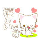 にゃんこ日和(ペルシャ猫のたま)-toYvu-（個別スタンプ：31）