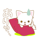 にゃんこ日和(ペルシャ猫のたま)-toYvu-（個別スタンプ：35）