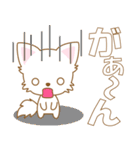 にゃんこ日和(ペルシャ猫のたま)-toYvu-（個別スタンプ：39）