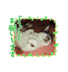 イケメンそら（個別スタンプ：9）
