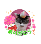 イケメンそら（個別スタンプ：10）