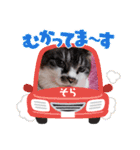 イケメンそら（個別スタンプ：11）