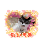 イケメンそら（個別スタンプ：13）