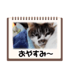 イケメンそら（個別スタンプ：16）