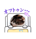 イケメンそら（個別スタンプ：23）
