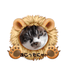 イケメンそら（個別スタンプ：24）