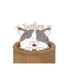 ねこ福日和（個別スタンプ：17）