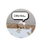 ピンクと時々ブルー第2幕（個別スタンプ：7）