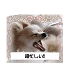 LUNA＆SEAだよん！！（個別スタンプ：2）