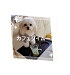 LUNA＆SEAだよん！！（個別スタンプ：3）