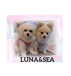 LUNA＆SEAだよん！！（個別スタンプ：4）