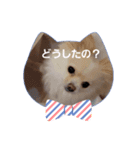 LUNA＆SEAだよん！！（個別スタンプ：5）