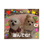 LUNA＆SEAだよん！！（個別スタンプ：7）