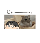 よるたんstamp（個別スタンプ：1）