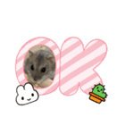よるたんstamp（個別スタンプ：2）