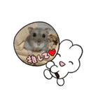 よるたんstamp（個別スタンプ：3）