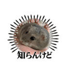よるたんstamp（個別スタンプ：8）