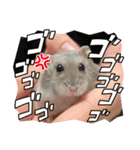 よるたんstamp（個別スタンプ：9）