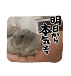 よるたんstamp（個別スタンプ：10）