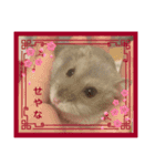 よるたんstamp（個別スタンプ：14）
