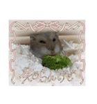 よるたんstamp（個別スタンプ：15）