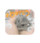よるたんstamp（個別スタンプ：16）