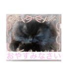 黒猫 ルナ院長20にゃんめ（個別スタンプ：3）