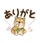 柴犬 ちゃちゃ丸 33『LOVE』（個別スタンプ：12）