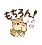 柴犬 ちゃちゃ丸 33『LOVE』（個別スタンプ：23）