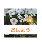 むんとお出かけ会話（個別スタンプ：3）