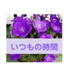 むんとお出かけ会話（個別スタンプ：4）