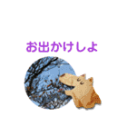 むんとお出かけ会話（個別スタンプ：5）